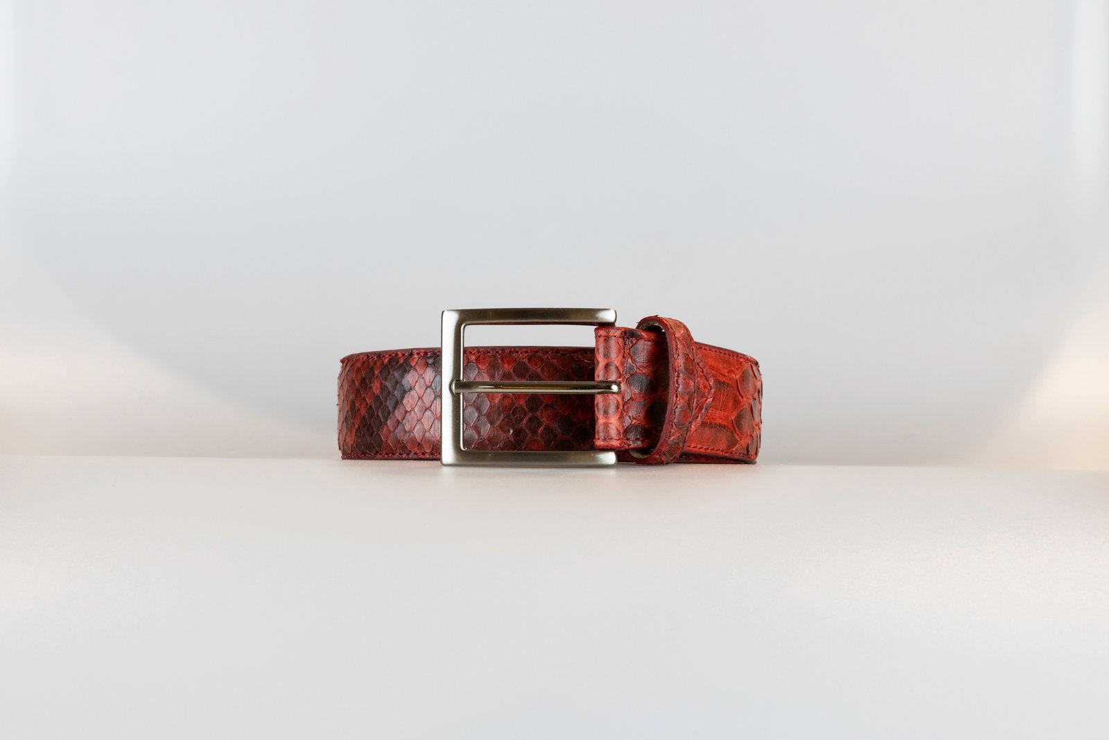 Ignis standard buckle