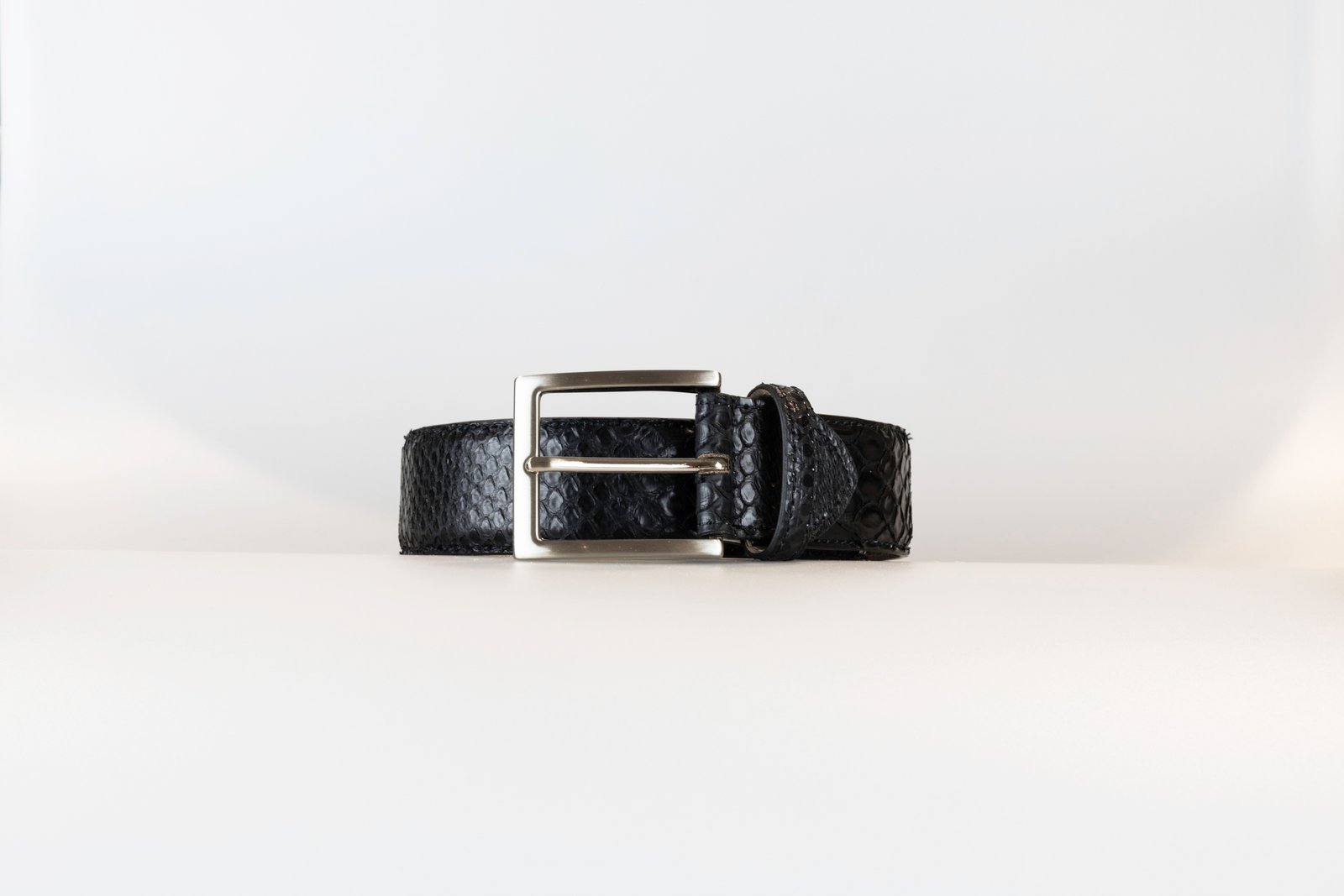 Nocte standard buckle